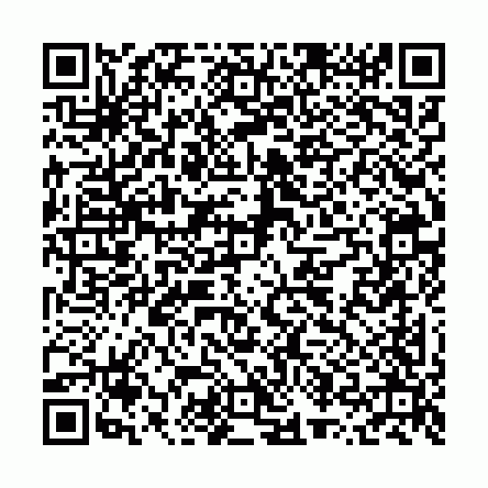 Scan this QR code to pay for Celestial Collar Necklace
