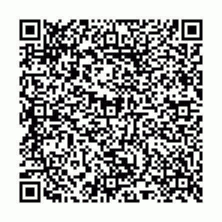 Scan this QR code to pay for Diamond Drop Earrings